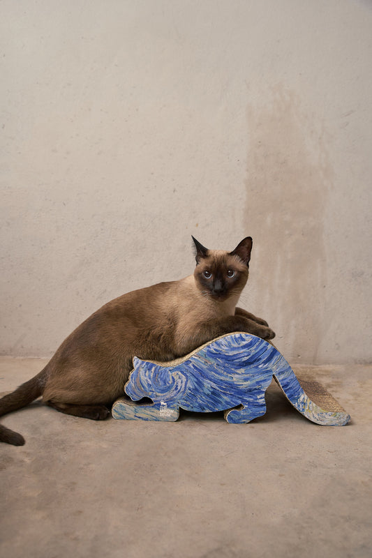 Van Gogh Painting Cat Scratch Pad