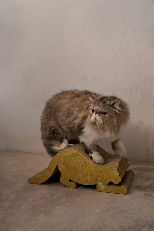 Van Gogh Painting Cat Scratch Pad