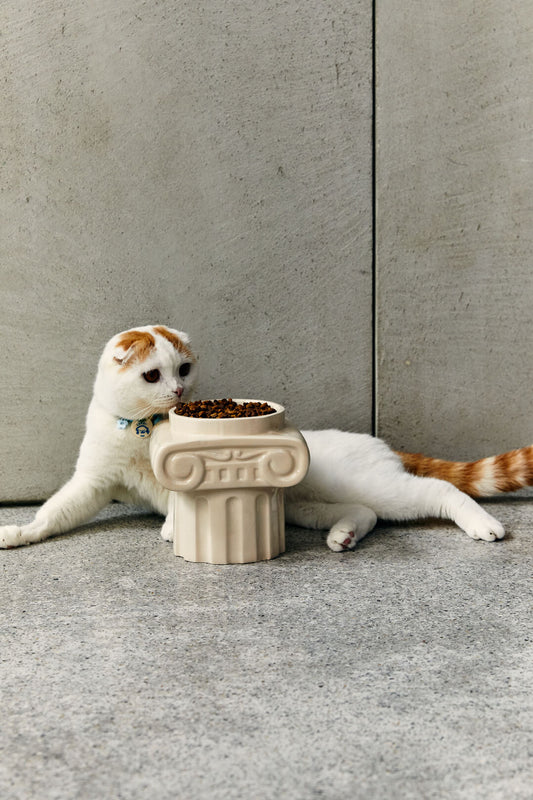 Ionic Column Pet Bowl