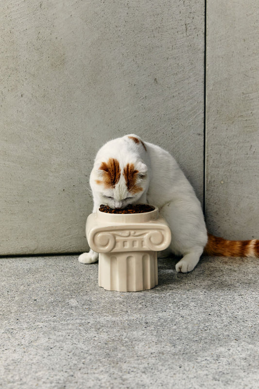 Ionic Column Pet Bowl